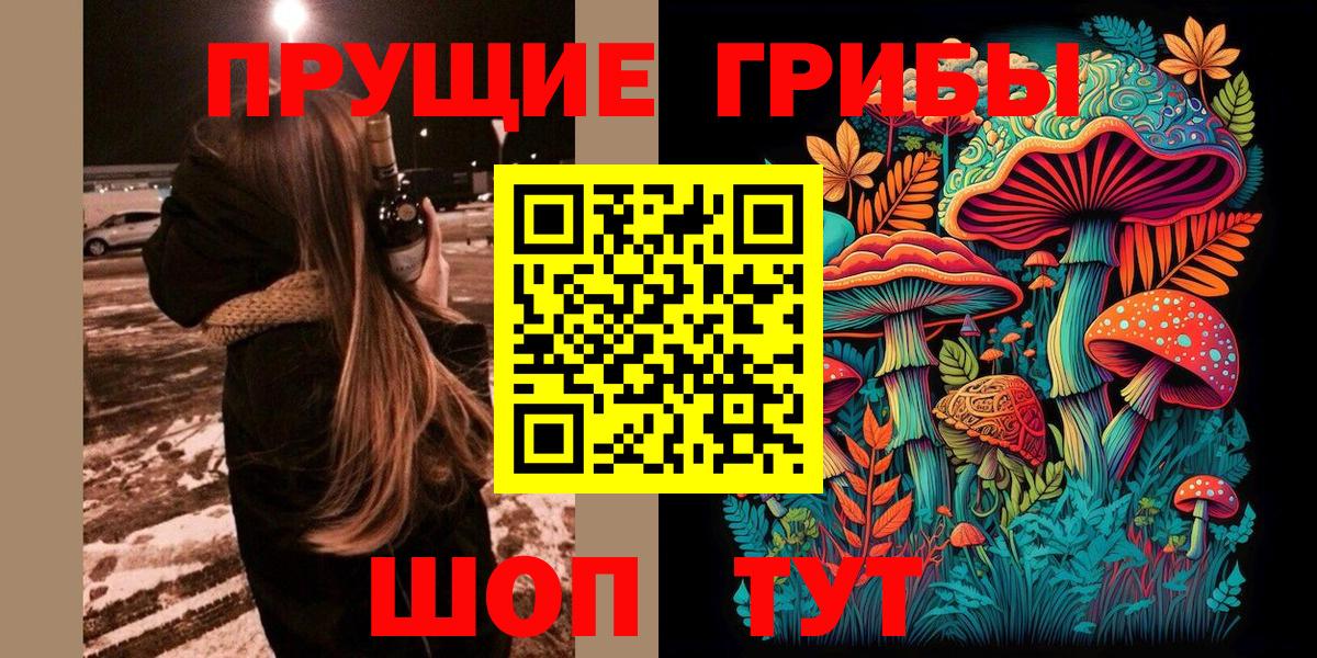 Сыктывкар  Псилоцибиновые грибы GOLDEN TEACHER  Вход с VPN 