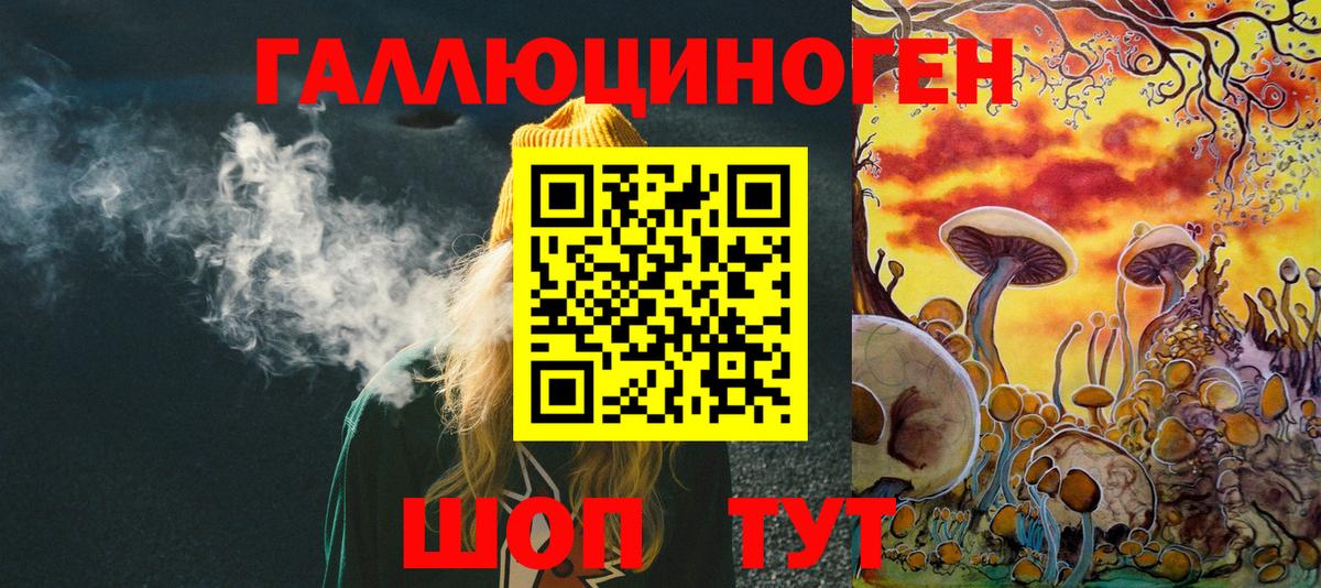 Псилоцибиновые грибы Psilocybe Сыктывкар